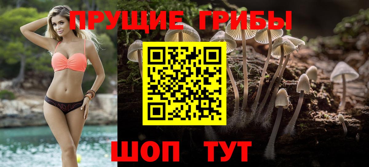 Галлюциногенные грибы Psilocybe Азов